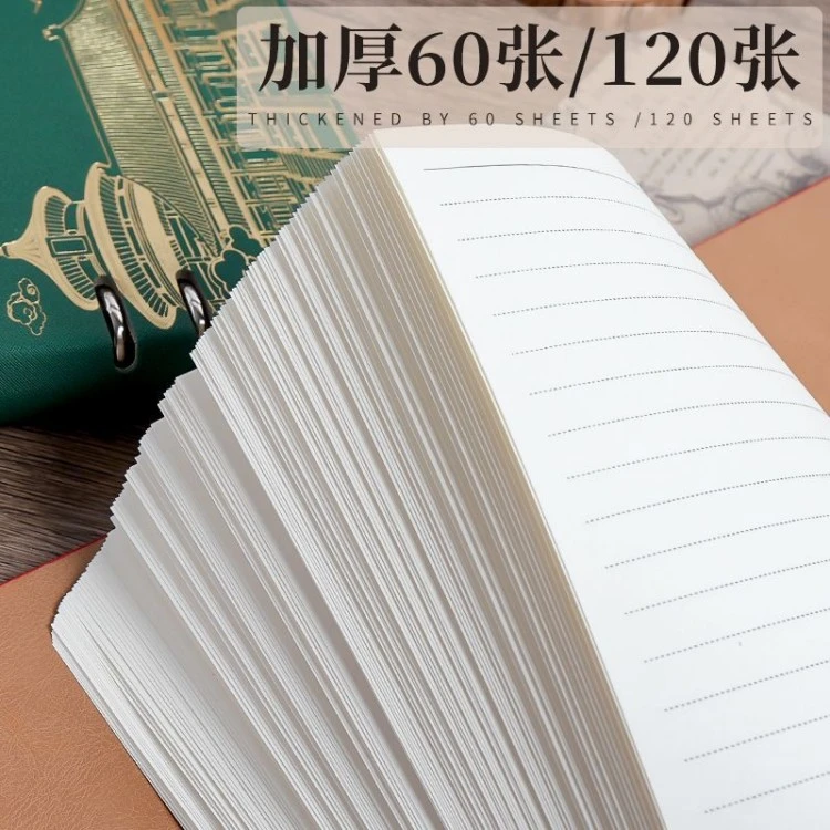 Loose-Leaf notebook for work product view 9