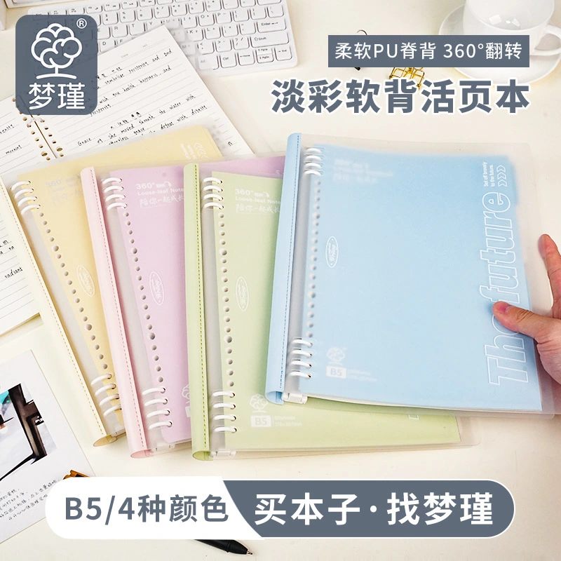 Anulus Binder Solve Folium Codicillus